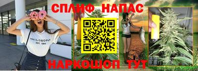 PSILOCYBIN Моздок