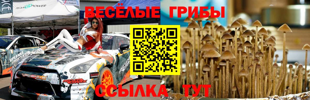 Псилоцибиновые грибы мухоморы  Псилоцибиновые грибы Psilocybine cubensis  Вход с VPN  Мегион 